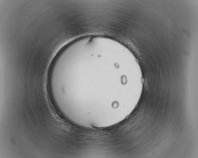 X0000112520724200909281016