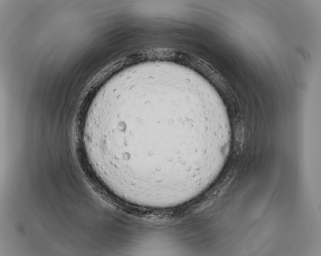 X0000112520725200909281016
