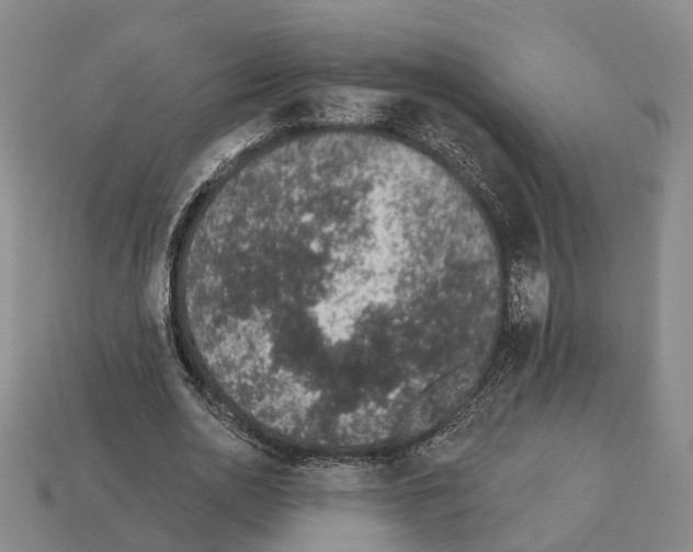 X0000112520726200909281016