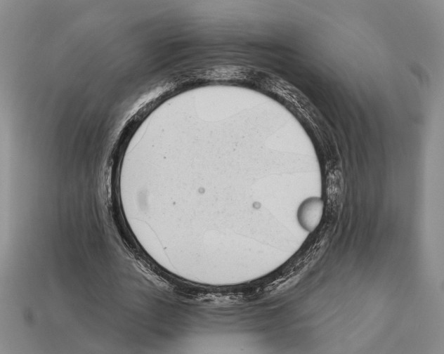 X0000112520727200909281016