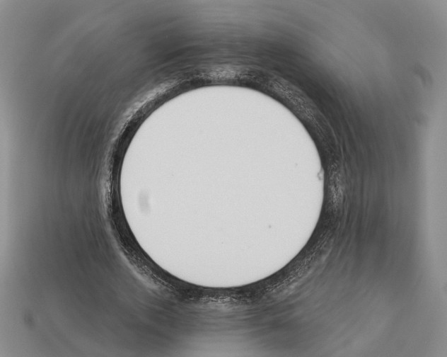 X0000112520728200909281016