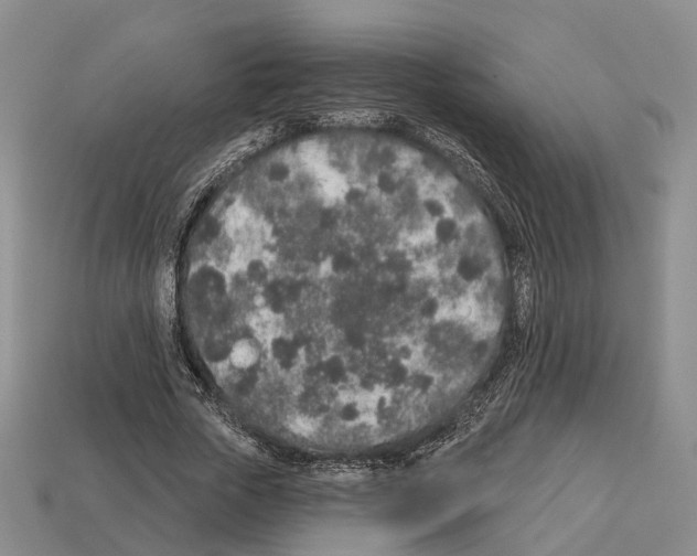 X0000112520729200909281016