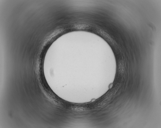 X0000112520730200909281016