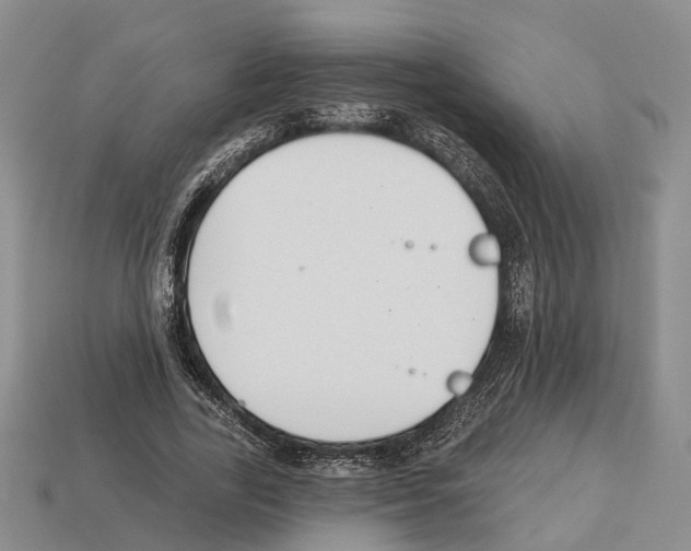 X0000112520731200909281016