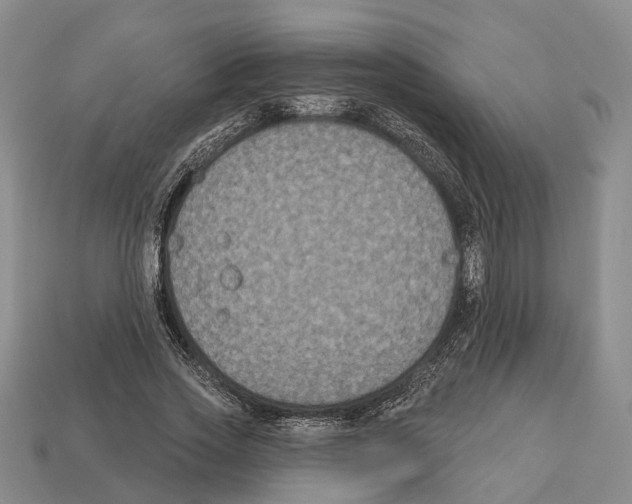 X0000112520733200909281016
