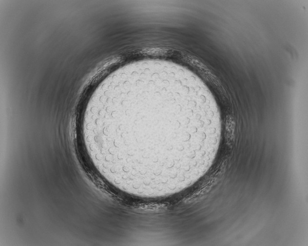 X0000112520734200909281016
