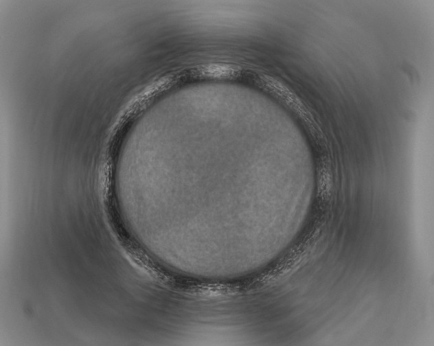 X0000112520736200909281016