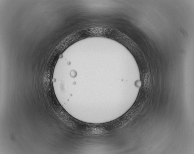 X0000112520737200909281016