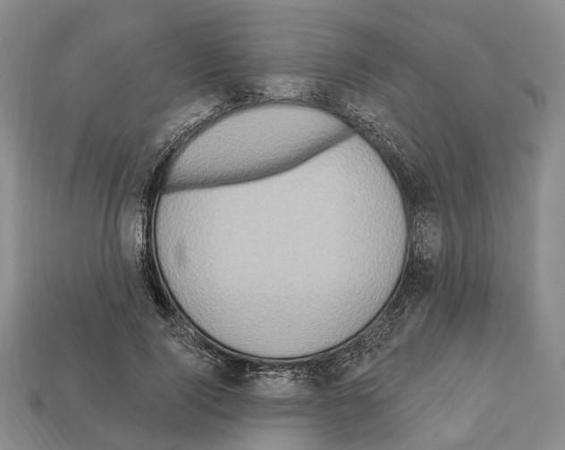 X0000112520740200909281016