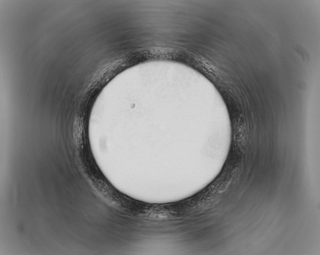 X0000112520742200909281016