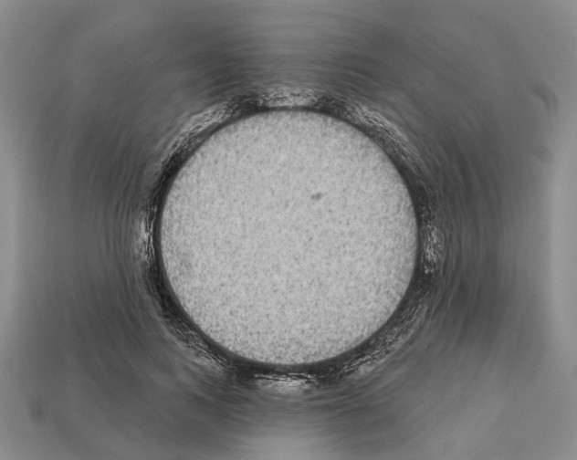 X0000112520743200909281016