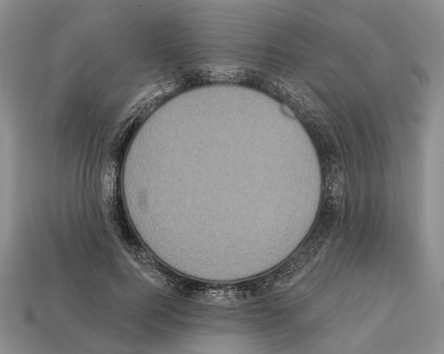 X0000112520744200909281016