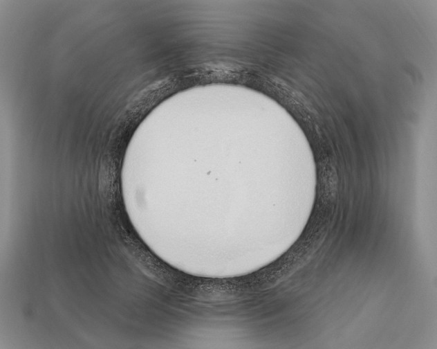 X0000112520745200909281016