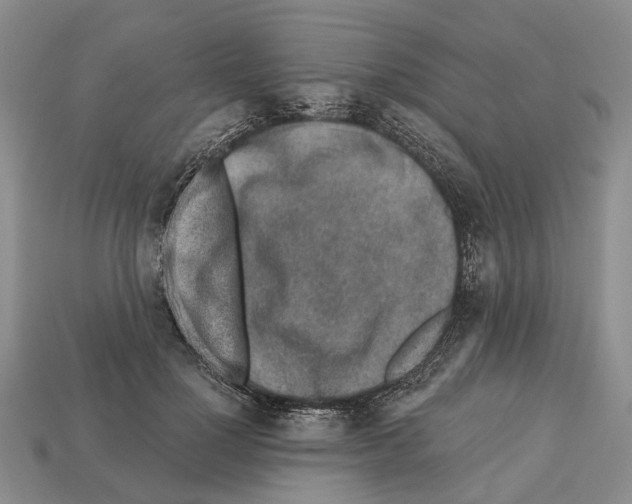 X0000112520748200909281016