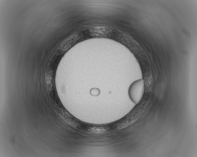 X0000112520749200909281016