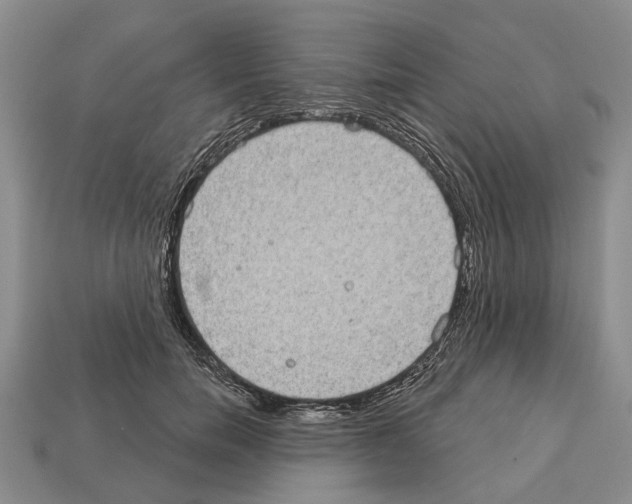 X0000112520750200909281016