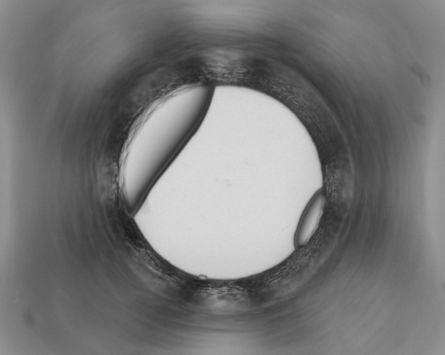 X0000112520752200909281016
