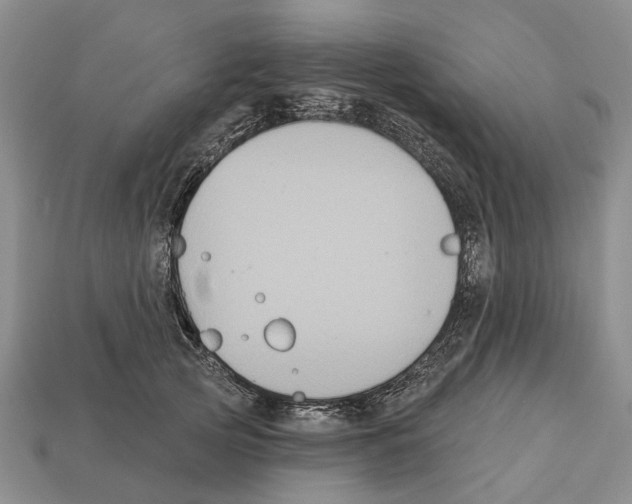 X0000112520753200909281016