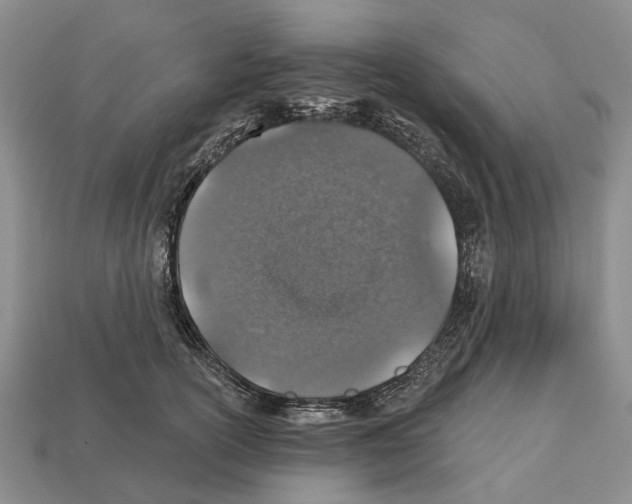 X0000112520754200909281016