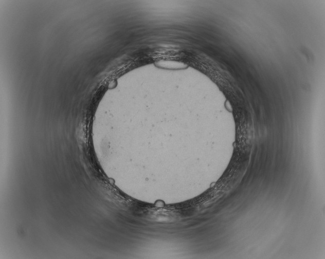 X0000112520755200909281016