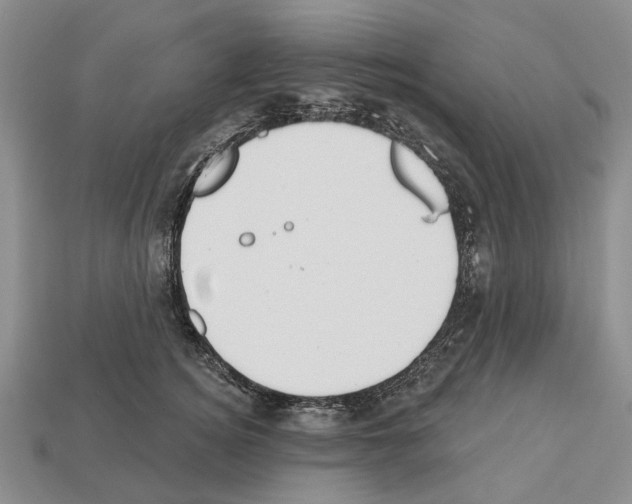 X0000112520756200909281016