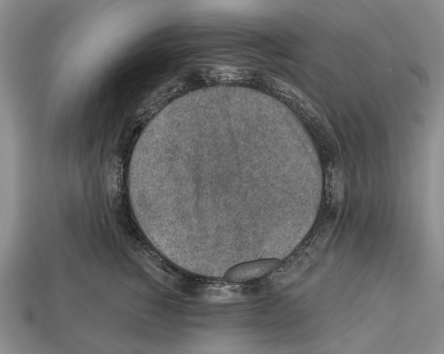 X0000112520760200909281016