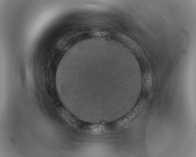 X0000112520762200909281016