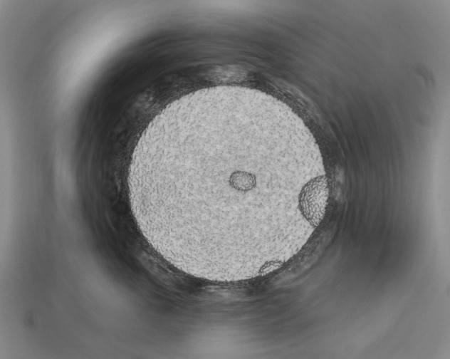 X0000112520763200909281016