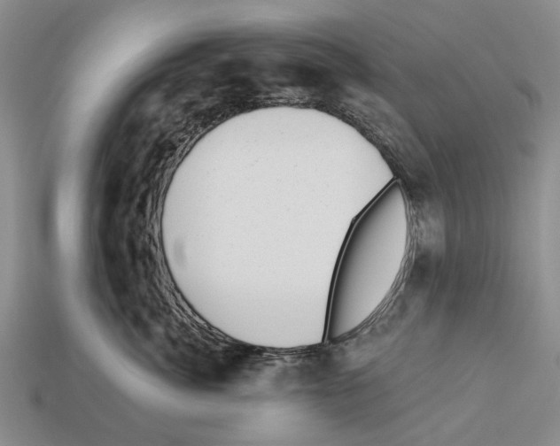 X0000112520764200909281016
