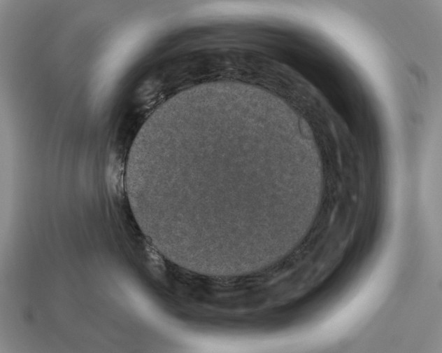 X0000112520766200909281016
