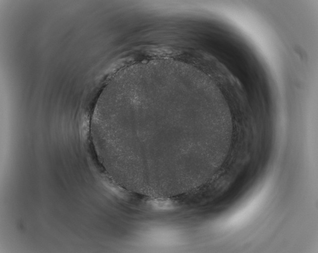 X0000112520767200909281016