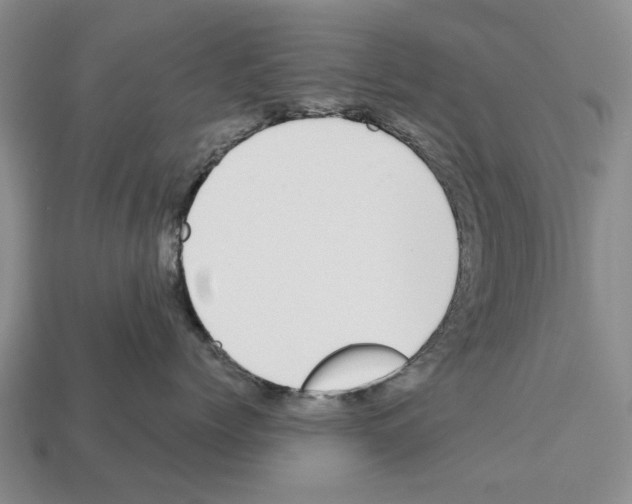 X0000112520768200909281016
