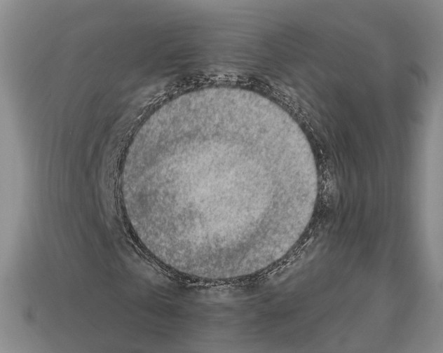 X0000112520769200909281016