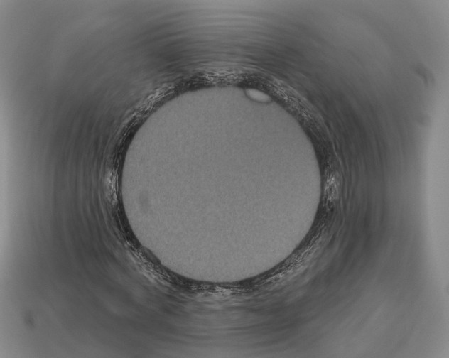 X0000112520772200909281016