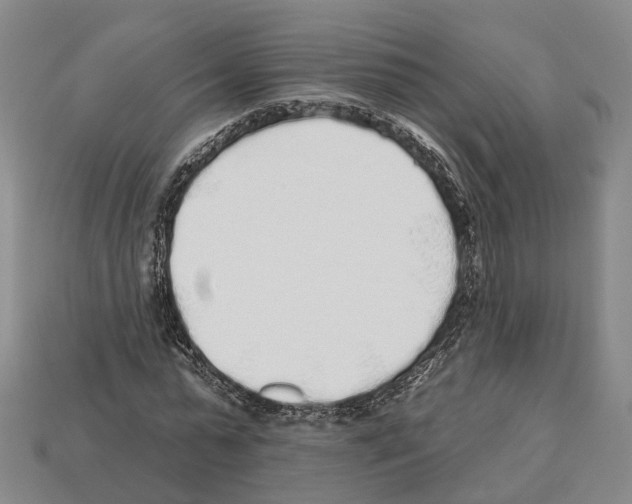 X0000112520775200909281016