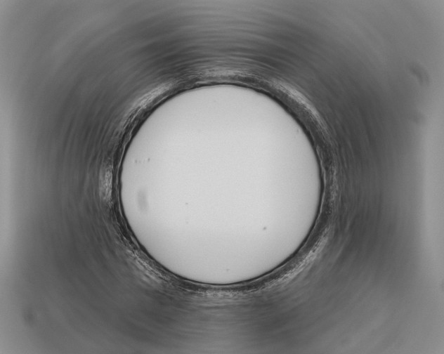 X0000112520777200909281016