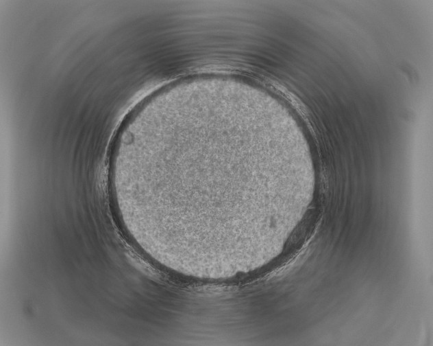 X0000112520779200909281016