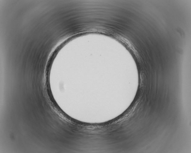 X0000112520780200909281016