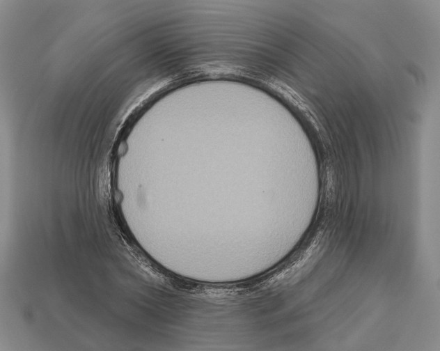 X0000112520782200909281016