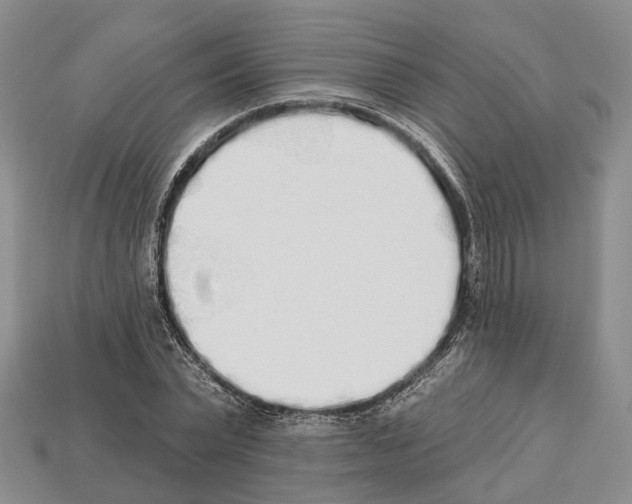 X0000112520783200909281016