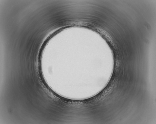 X0000112520784200909281016