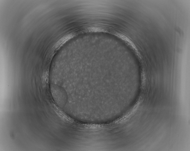 X0000112520785200909281016
