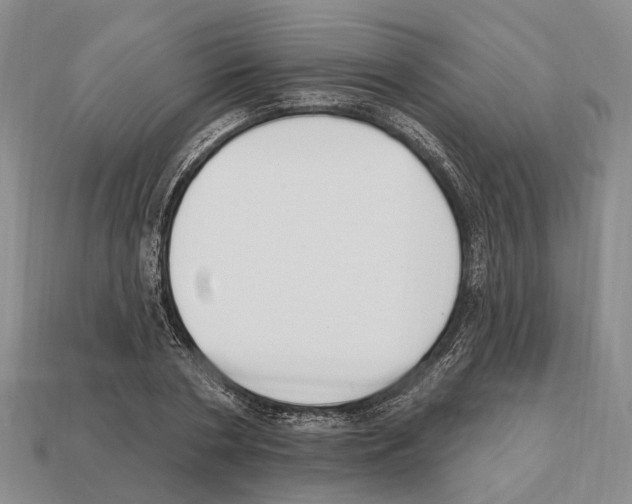 X0000112520786200909281016