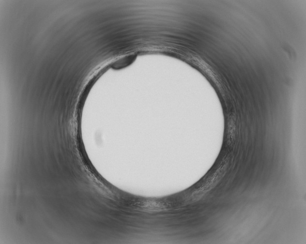 X0000112520787200909281016
