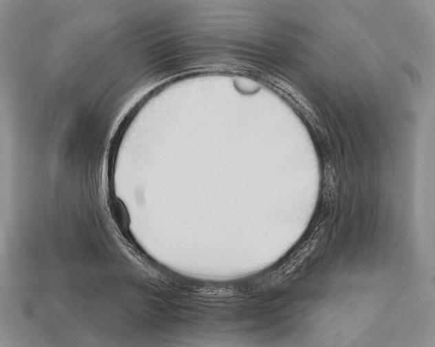 X0000112520788200909281016