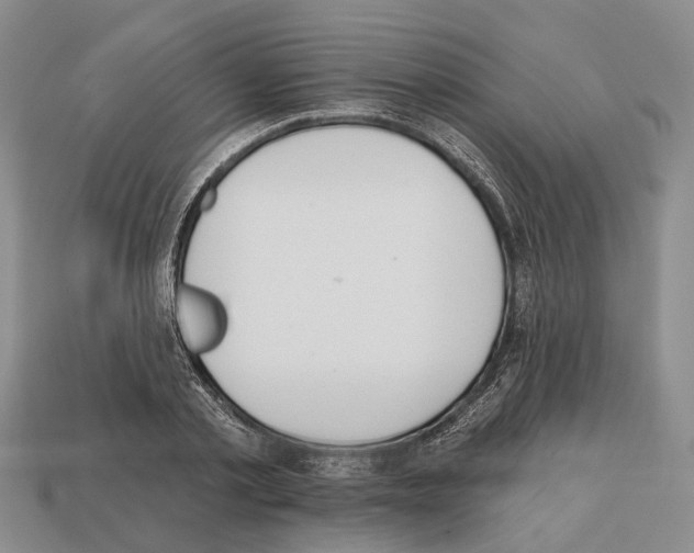 X0000112520789200909281016