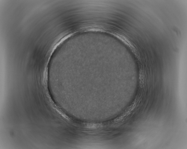 X0000112520790200909281015