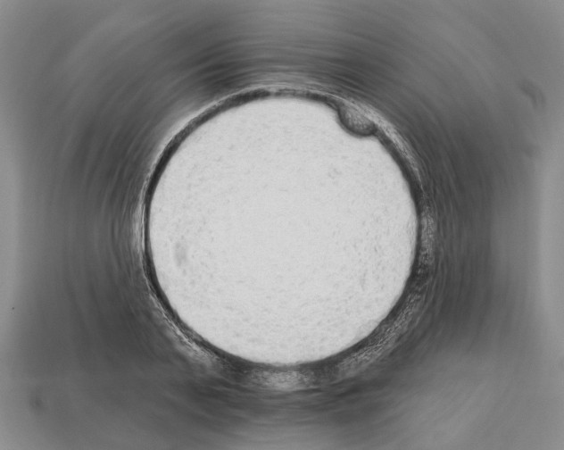X0000112520791200909281015