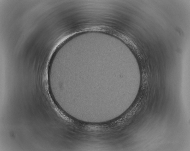 X0000112520792200909281015