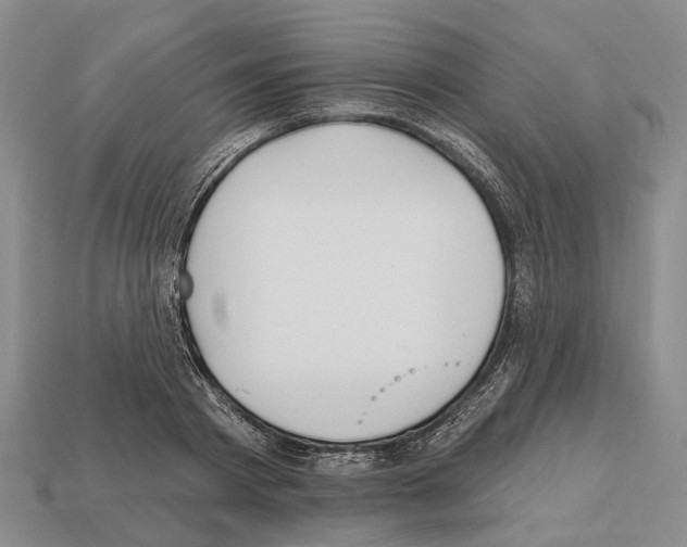 X0000112520793200909281015
